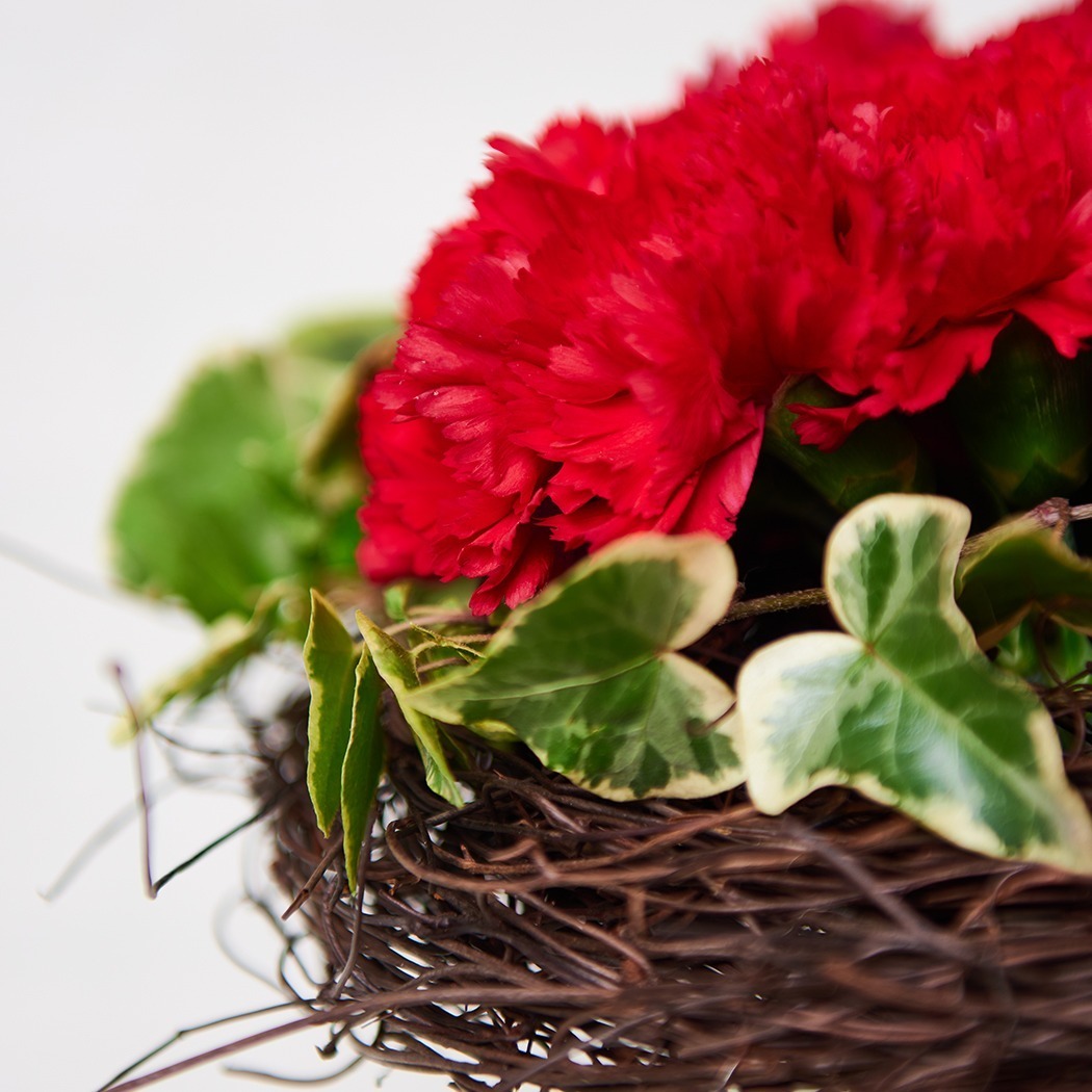 Buchet în Forma de Inimă din Garoafe Catifelate Rosii "Be My Valentine" - imagine 2