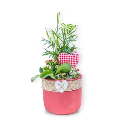 Aranjament cu Plante în Vas Roșu cu Inimă