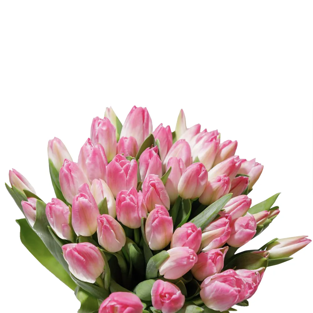 Buchet Generos cu 49 de Lalele Roz – Delicatețe în Stil Clasic - imagine 3